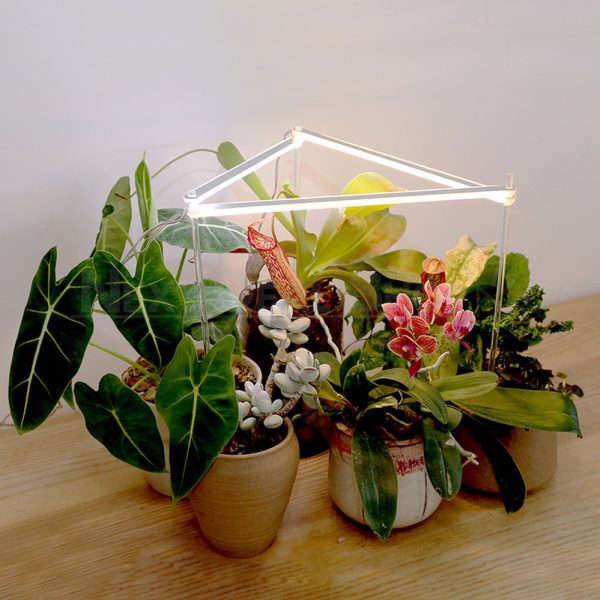 Grow Light Strip For Indoor Plants