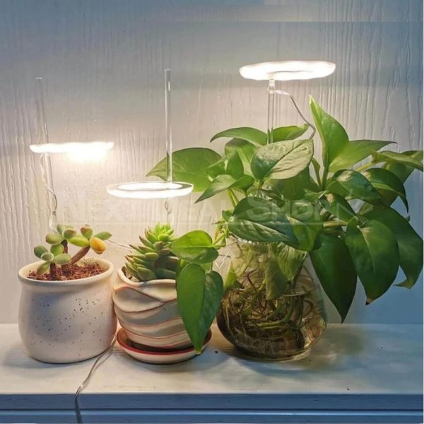 Halo Grow Lights for Indoor Plants (USB Powered)