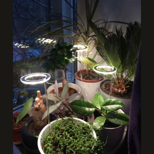 Halo Grow Lights for Indoor Plants (USB Powered) - Image 2