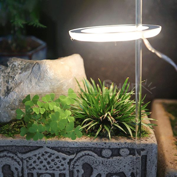 Halo Grow Lights for Indoor Plants (USB Powered) - Image 4