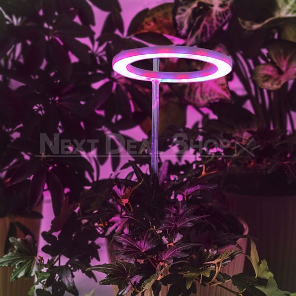 Halo Grow Lights for Indoor Plants (USB Powered) - Image 7